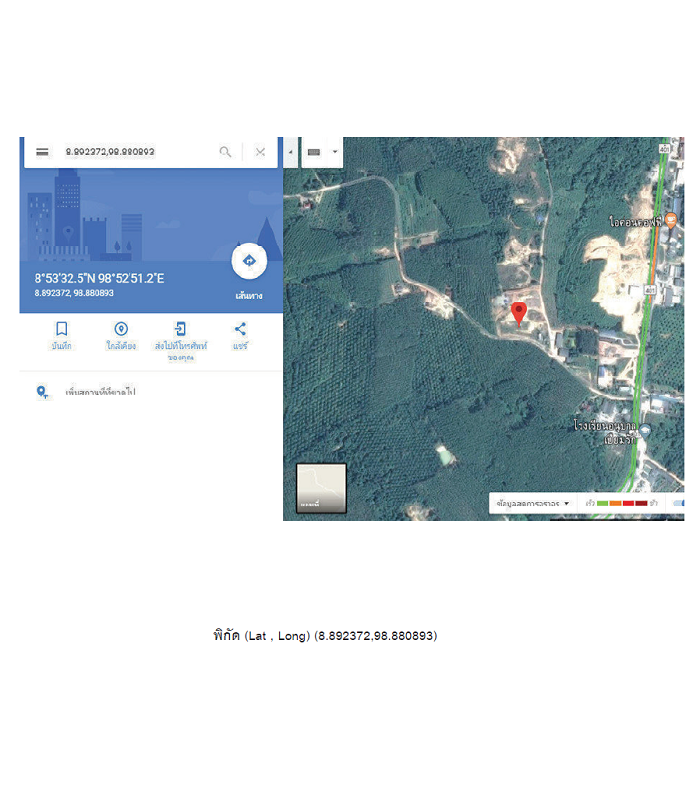 รูป ที่ดินว่างเปล่า สำหรับขาย ที่ดินว่างเปล่า พนม-สุราษฎร์ธานี - รูปที่ 6/6