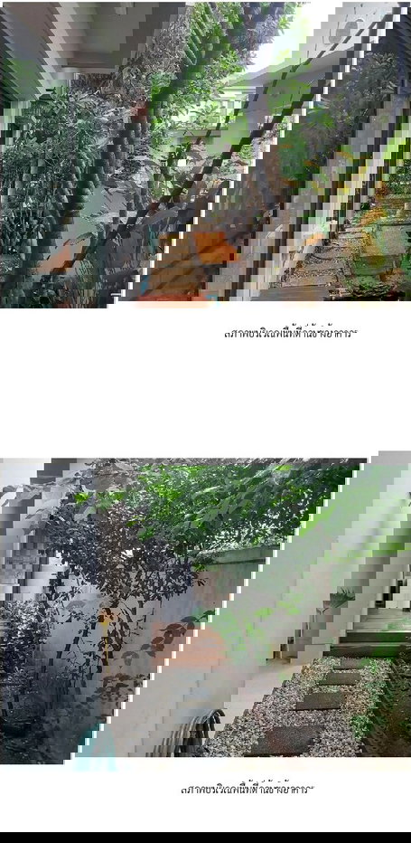 รูป บ้านเดี่ยว, 58.8 ตร.วา, บ้านเดี่ยว โครงการ เวนิว พระราม 5 [ซ.3], เมืองนนทบุรี, นนทบุรี, 9M - รูปที่ 18/23