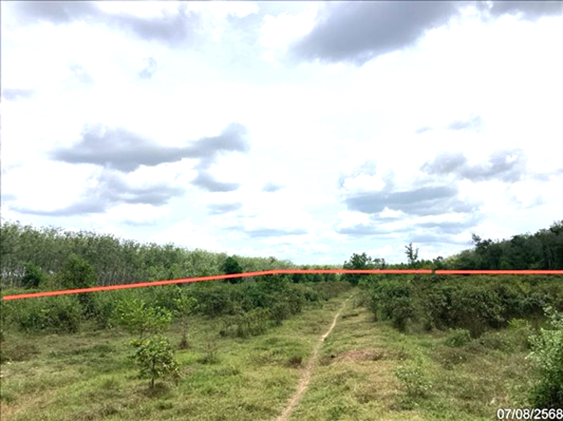 รูป ที่ดินว่างเปล่า สำหรับขาย - หานโพธิ์ เขาชัยสน พัทลุง - รูปที่ 11/18
