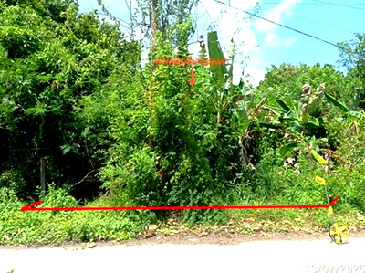 ที่ดินว่างเปล่า 27 ตร.วา เมืองนครศรีธรรมราช นครศรีธรรมราช 810,000