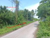 listing thumbnail image 7