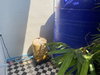 listing thumbnail image 11