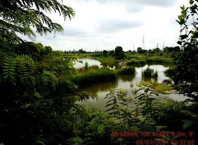 PROPERTY 14270 Sq.w. Tha Tako Nakhon Sawan for 13.8M