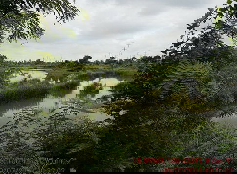 อาคาร, 14270 ตร.วา, อาคาร ท่าตะโก-นครสวรรค์, ท่าตะโก, นครสวรรค์, 13.8M