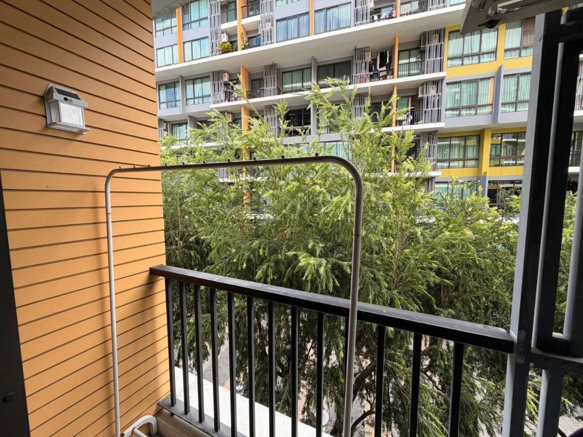 รูป ให้เช่า iCondo สุขุมวิท 103 🏡 มีเครื่องซักผ้า พร้อมอยู่‼️ ใกล้ BTS อุดมสุข #ตอบแชทไว 🔥🔥 รหัส C487 - รูปที่ 10/10