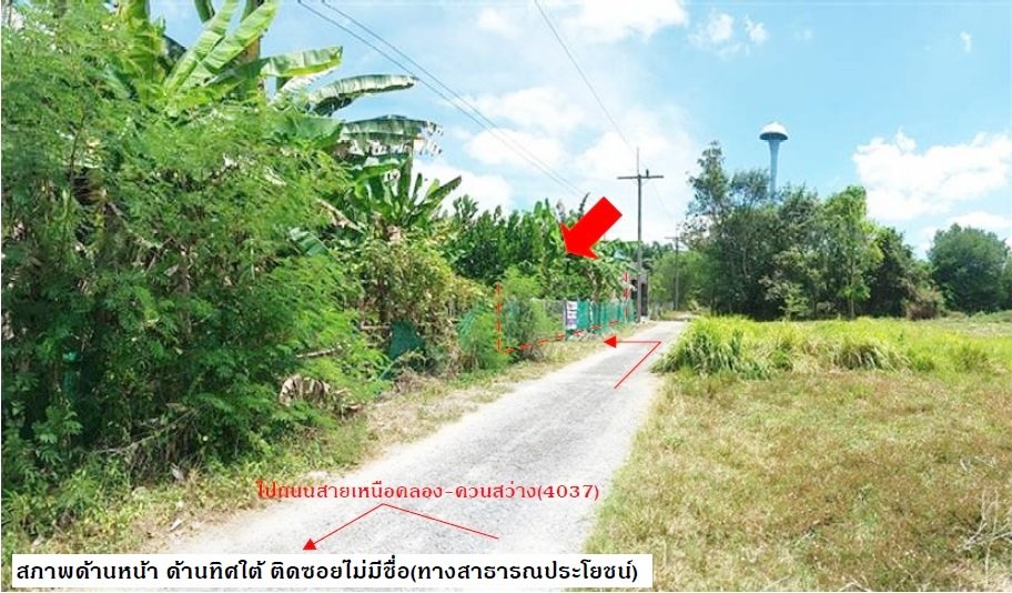 รูป ที่ดินว่างเปล่า สำหรับขาย ที่ดินว่างเปล่า เขาพนม-กระบี่ - รูปที่ 3/4