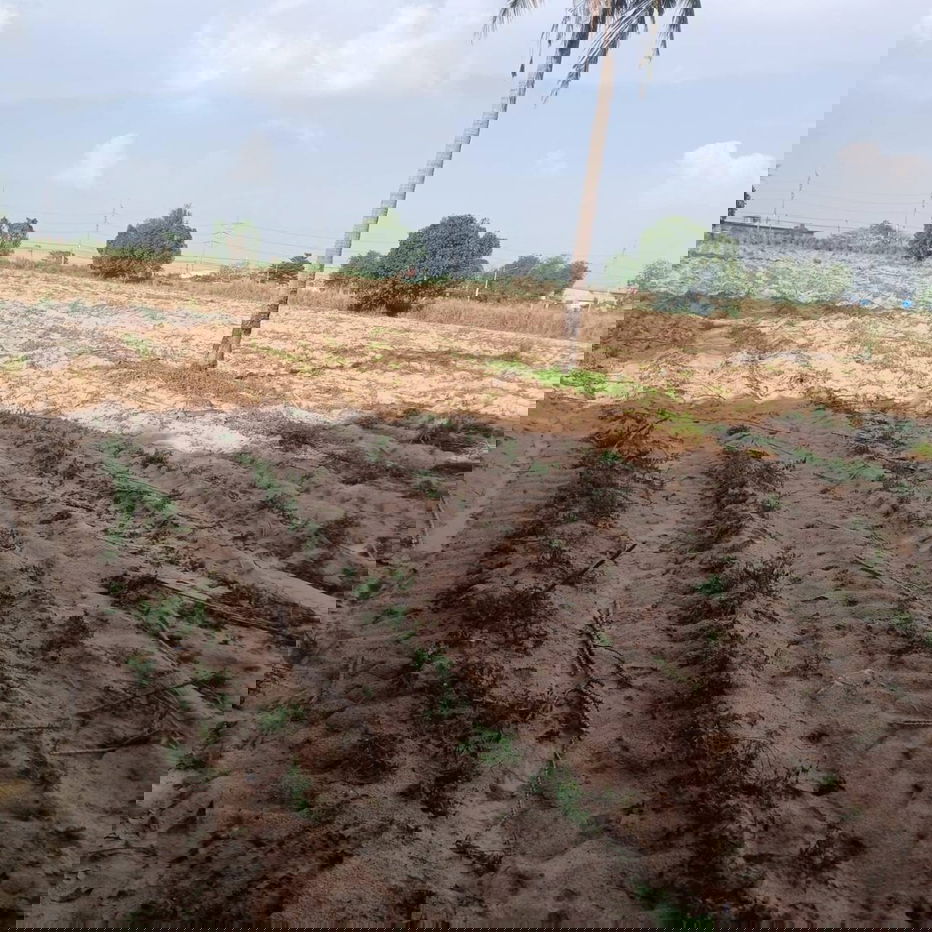 รูป ขายที่ดินเปล่า ทำเลบ่อวิน ศรีราชา ใกล้นิคม ติดถนนหลัก เนื้อที่ 22 ไร่ 2 งาน 9 ตารางวา - รูปที่ 7/9