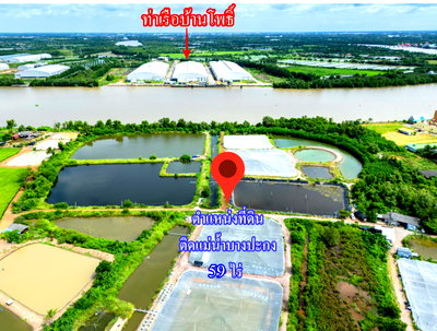ที่ดิน บ้านโพธิ์ ฉะเชิงเทรา : ขายที่ดินติดแม่น้ำบางปะกง 59 ไร่ ตรงข้ามท่าเรือบ้านโพธิ์ ต.บ้านโพธิ์ อ.บ้านโพธิ์ จ.ฉะเชิงเทรา