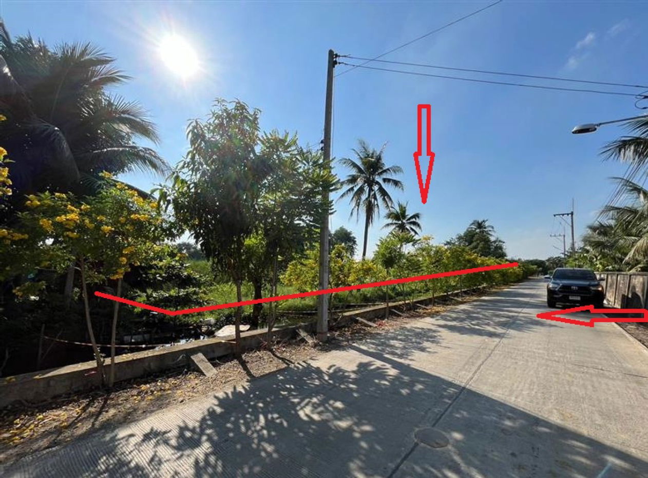 รูป ที่ดินว่างเปล่า สำหรับขาย ที่ดินว่างเปล่า นครชัยศรี - รูปที่ 2/5