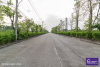 listing thumbnail image 64
