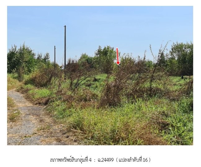 รูป ที่ดินว่างเปล่า สำหรับขาย ที่ดินว่างเปล่า ฉลองกรุง ริเวอร์วิลล์ หนองจอก - รูปที่ 4/7