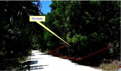 PROPERTY 60 Sq.w. Takua Pa Phangnga for 540,000