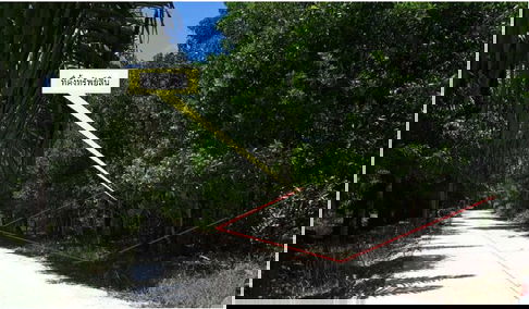 ที่ดินว่างเปล่า สำหรับขาย ที่ดินว่างเปล่า ตะกั่วป่า-พังงา