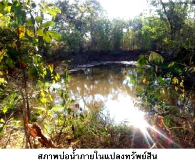 PROPERTY 1572 Sq.w. Nam Yun Ubon Ratchathani for 2.7M