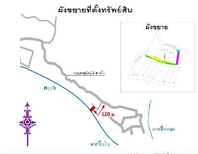 Houses for sale Surat Thani : ที่ดินว่างเปล่า for sale ที่ดินว่างเปล่า เกาะพะงัน-สุราษฎร์ธานี
