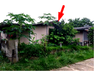 Houses for sale Roi Et : HOME for sale บ้านเดี่ยว สุวรรณภูมิ-ร้อยเอ็ด