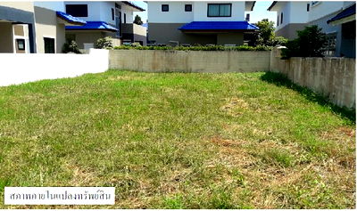 บ้านเดี่ยว ดูโฮม สาขาบางนาตราด กม. 38 : ที่ดินว่างเปล่า สำหรับขาย ที่ดินว่างเปล่า บางปะกง-ฉะเชิงเทรา