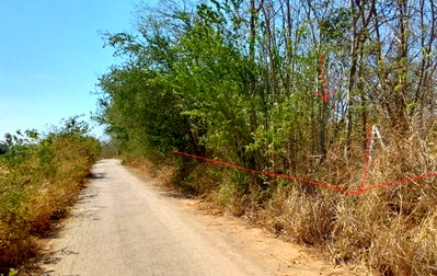 PROPERTY 1985.8 Sq.w. Pak Chong Nakhon Ratchasima for 9.6M
