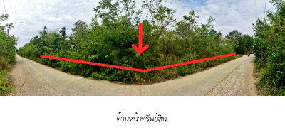 บ้านเดี่ยว ขอนแก่น : ที่ดินว่างเปล่า สำหรับขาย ที่ดินว่างเปล่า บ้านหนองคู ขอนแก่น