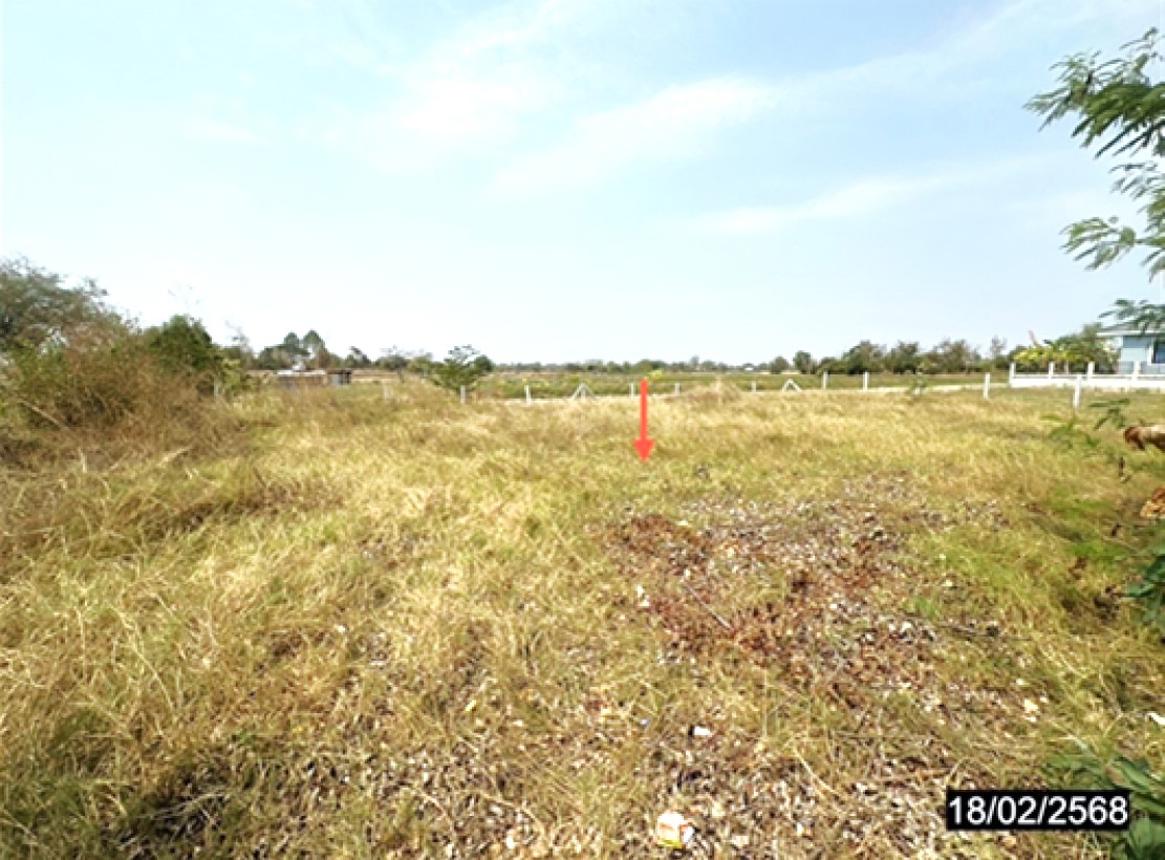 รูป ที่ดินว่างเปล่า สำหรับขาย - แก่งเลิงจาน เมืองมหาสารคาม มหาสารคาม - รูปที่ 10/14