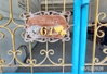 listing thumbnail image 35