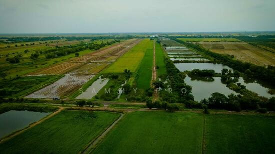 รูป ขายที่ดินเปล่าพระอาจารย์ องครักษ์ นครนายก 8แปลง 100-150ตรว ตั้งอยู่คลอง 22 สาธารณูปโภคครบครัน  เดินทางสะดวก - รูปที่ 3/4