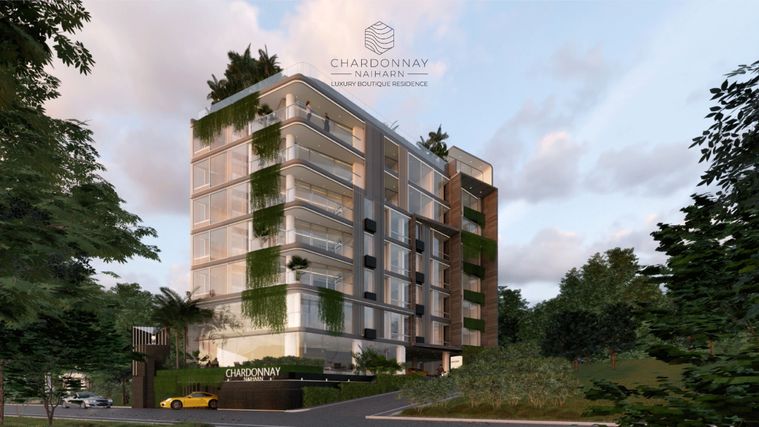 ชาร์ดอนเนย์ ในหาน