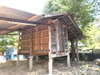 listing thumbnail image 23