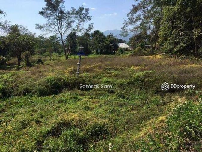 ขายที่ดิน อ.ปาย จ.แม่ฮ่องสอน เนื้อที่ 4-3-91 ไร่