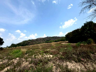 ที่ดิน ศรีราชา ชลบุรี : ขายที่ดินศรีราชา หนองขาม แปลงสวย ทำเลดี ใกล้นิคมปิ่นทอง 