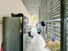 listing thumbnail image 12