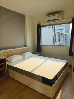 รูปภาพ เช่าคอนโด My Condo Sukhumvit 81/มาย คอนโด สุขุมวิท 81 (E6903002) ID Line : @condo101