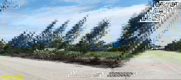 รูป โดดเด่นที่สุดของที่เกือบ 5 ไร่ หน้ากว้างๆ 148 ม. ถมพร้อมสร้างโรงงาน น้ำไฟครบ เทรลเลอร์ลุยสบาย โซนพันท้าย - พระราม 2 KK5099S - รูปที่ 5/7