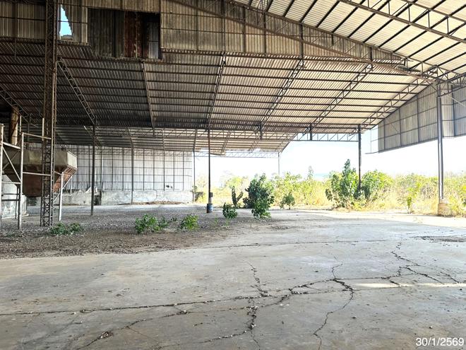 รูป โกดัง สำหรับขาย - ท่าแดง หนองไผ่ เพชรบูรณ์ - รูปที่ 9/44