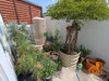 listing thumbnail image 31