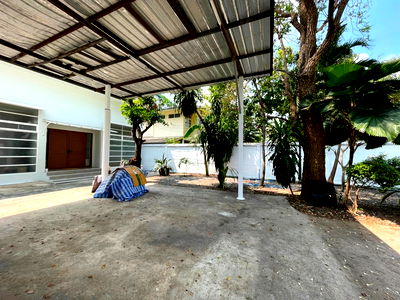 เช่าบ้านเดี่ยว กรมศุลกากร : บ้านเดี่ยวชั้นเดียว ปรับปรุงใหม่ มีบ้าน 2 หลัง รวม 3 ห้องนอน 3 ห้องน้ำ, 170 ตรม. อนุญาตให้เลี้ยงสัตว์ได้ 10 นาทีจากสถานี BTS ทองหล่อ 