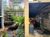 listing thumbnail image 22