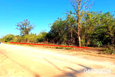 LAND 199 Sq.w. Mae Tha Lamphang for 498,000
