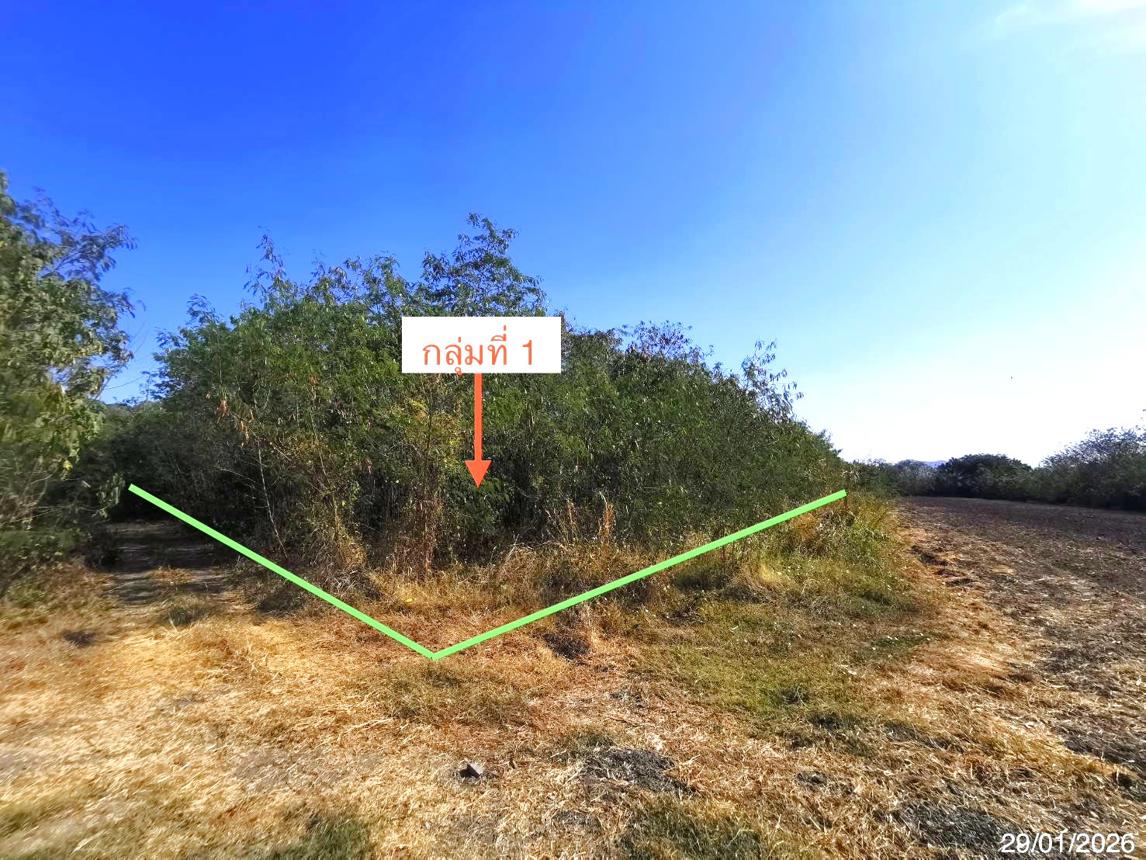 picture LAND for sale Tha Khlo Kaeng Khoi Saraburi - 13/22