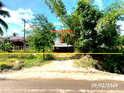 ขายบ้านเดี่ยว : บ้านเดี่ยว สำหรับขาย - นาทวี นาทวี สงขลา