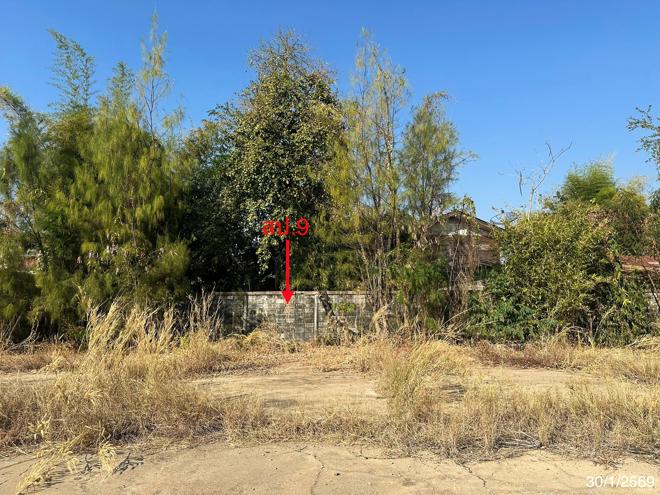 รูป โกดัง สำหรับขาย - ท่าแดง หนองไผ่ เพชรบูรณ์ - รูปที่ 20/44