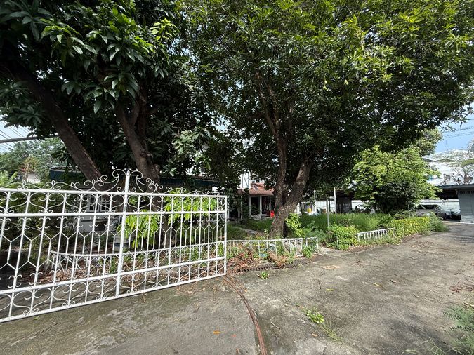 Land for sale, 100 sq wah, Din Daeng
