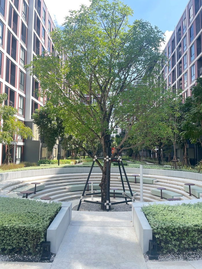 รูป ให้เช่าคอนโด นิว คอร์ คูคต สเตชัน ตึกF 23 ตร.ม.ห้องใหม่ เฟอร์ครบ ติดรถไฟฟ้าคูคต (TR1277) - รูปที่ 11/12