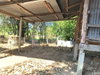 listing thumbnail image 25