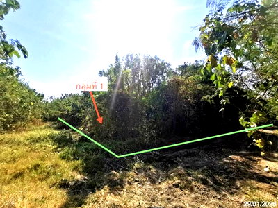 ที่ดิน แก่งคอย สระบุรี : ที่ดินว่างเปล่า สำหรับขาย - ท่าคล้อ แก่งคอย สระบุรี