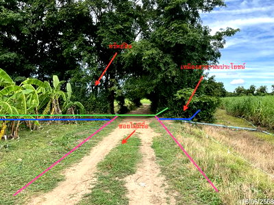 Land for sale Nong Ya Sai Suphanburi : LAND for sale  Nong Pho Nong Ya Sai Suphanburi