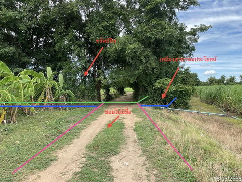 ที่ดินว่างเปล่า 12989 ตร.วา หนองหญ้าไซ สุพรรณบุรี 5.2M