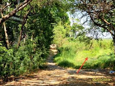 ที่ดินว่างเปล่า สำหรับขาย การ์เด้นซิตี้โปโล บางบ่อ บางบ่อ สมุทรปราการ