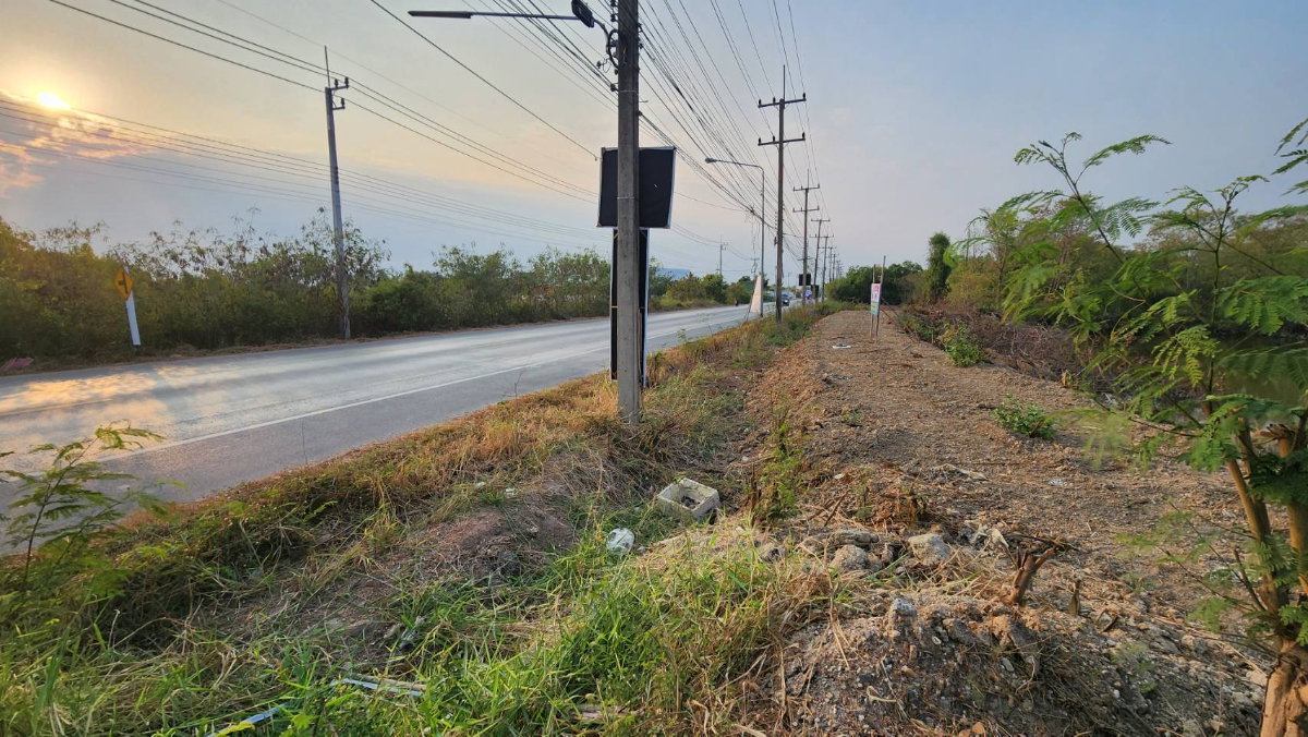 รูป ขายที่ดินติดถนนใหญ่ บ้านโพธิ์ ฉะเชิงเทรา 42-2-47 ไร่ ทำเลดี ใกล้นิคมอุตสาหกรรม - รูปที่ 5/10