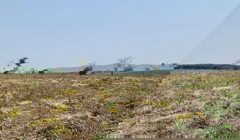 ขายที่ดินเปล่า วิวสวย อยู่บนเนินเขา จ.เชียงราย